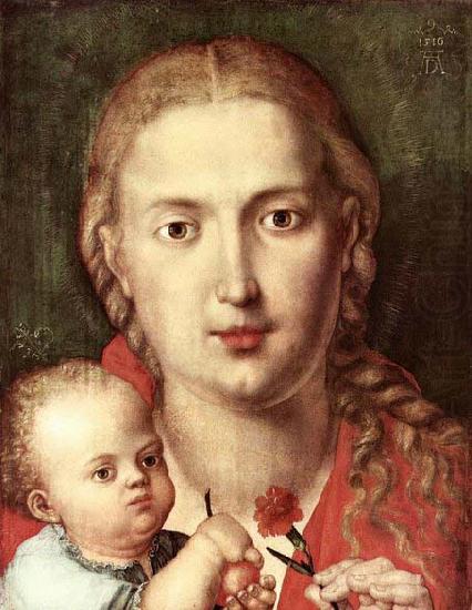 The Madonna of the Carnation, Albrecht Durer